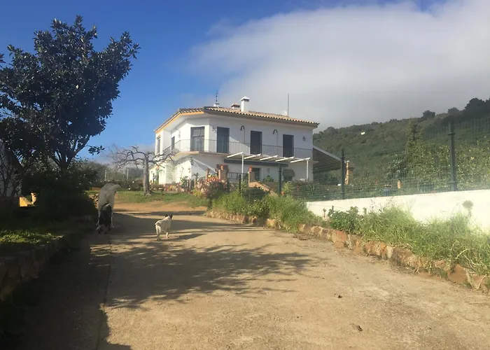 Huerta Carrion, Finca En El Pedroso