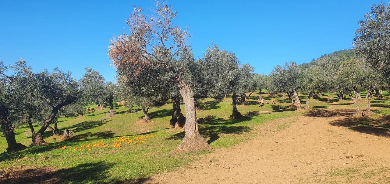 Hébergement de vacances Huerta Carrion, En *
