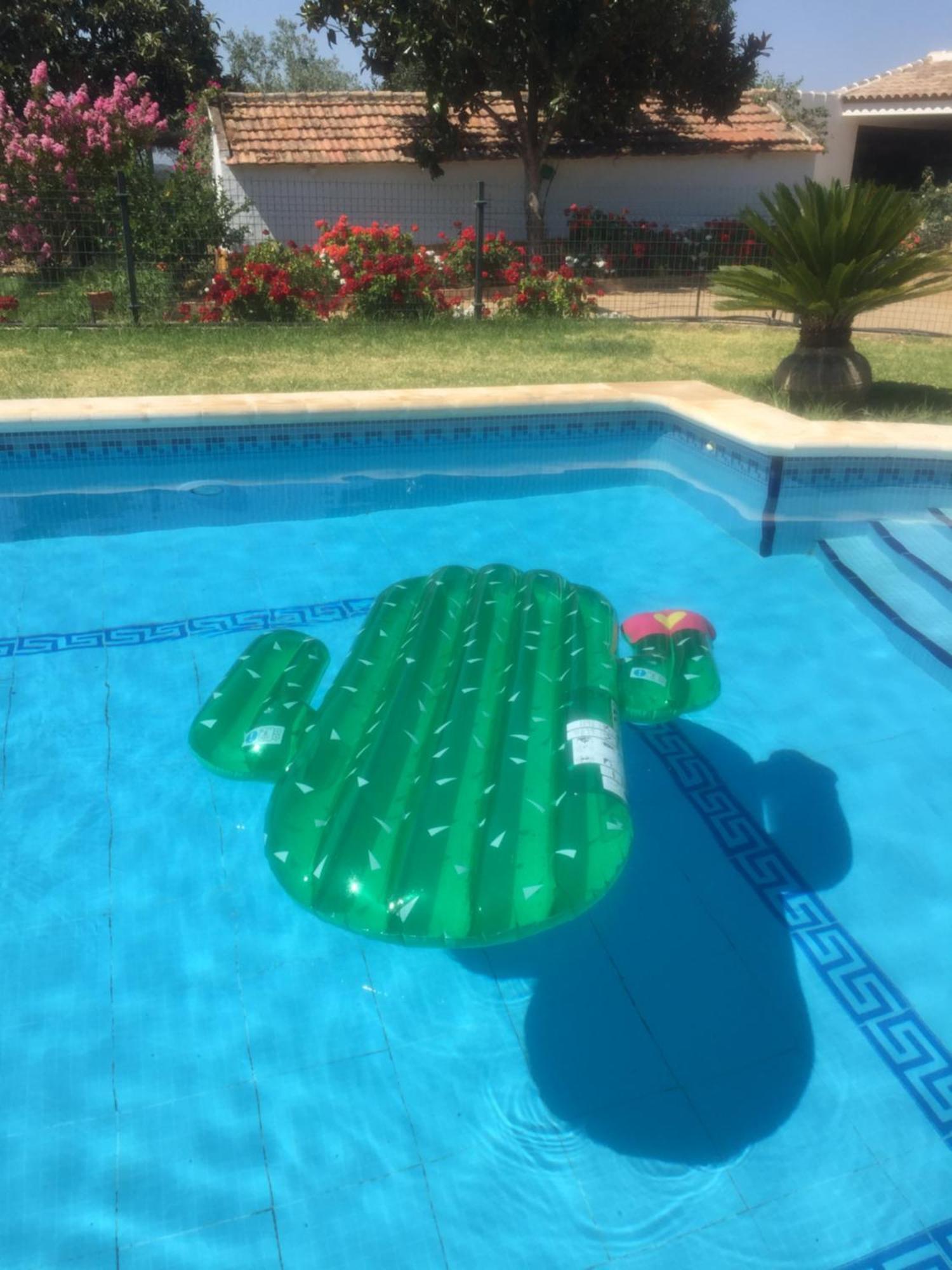 Hébergement de vacances Huerta Carrion, En El Pedroso